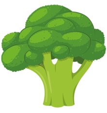 Broccolo